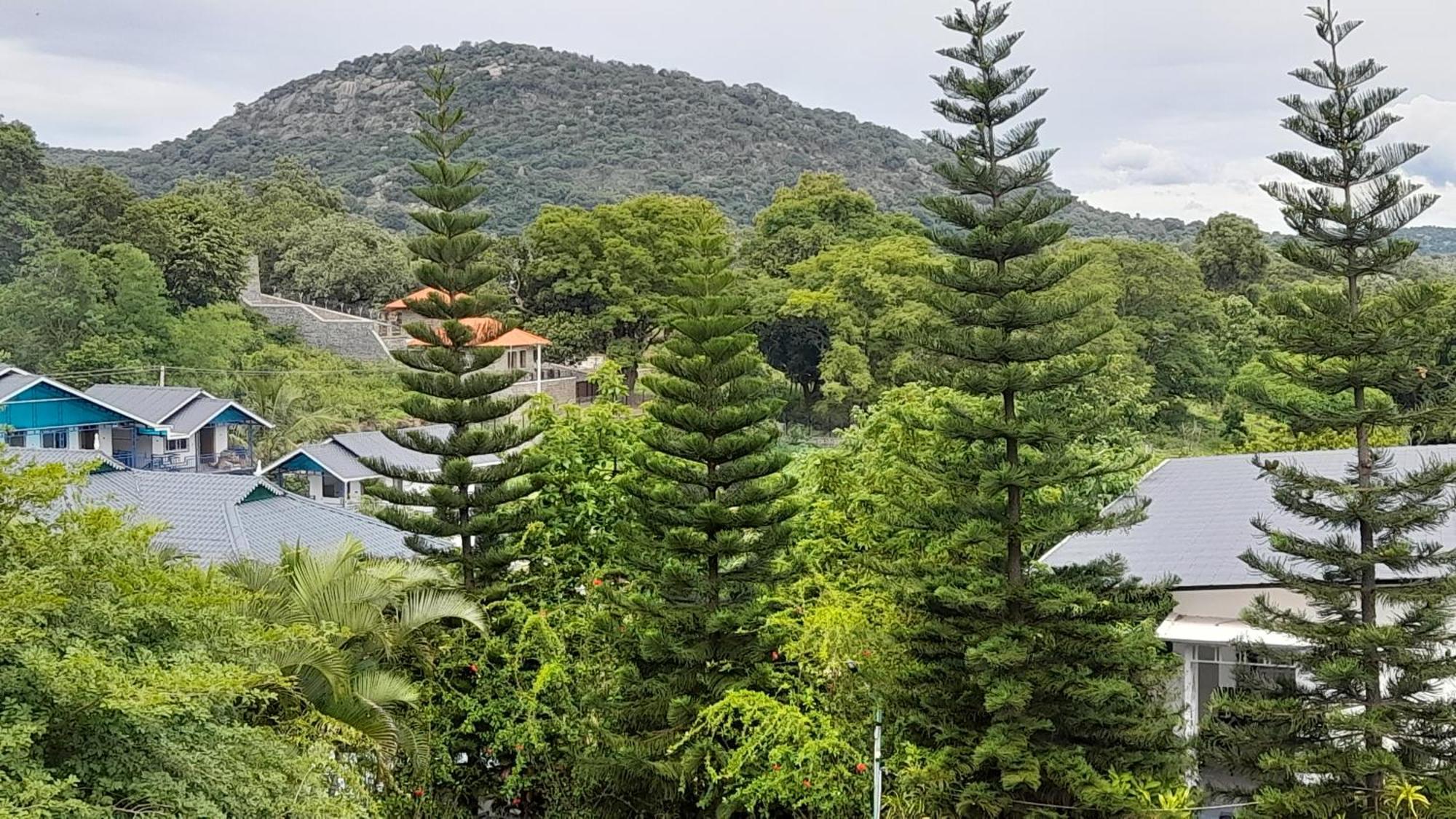 Mgm Whispering Wind'S Yelagiri Exterior foto